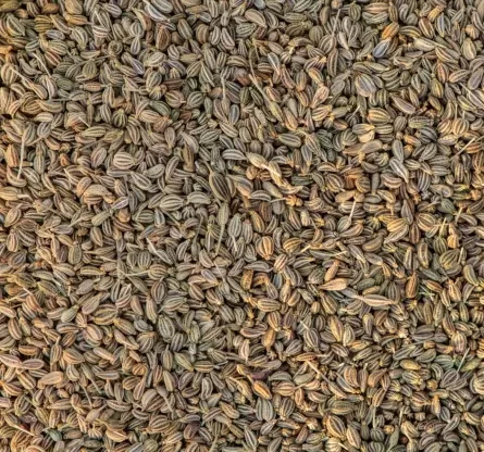 Ajwain