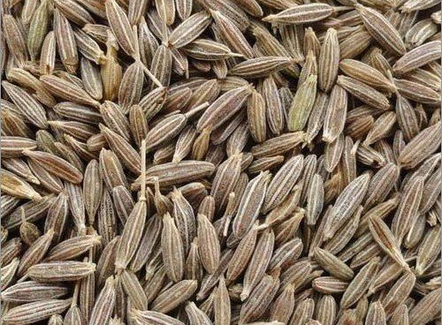Cumin Seeds