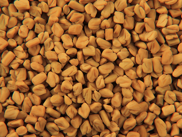 Fenugreek Seeds